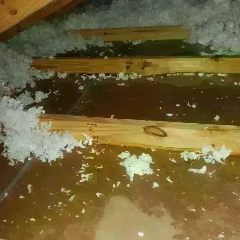 Attic Water Damage in Stewart County, GA