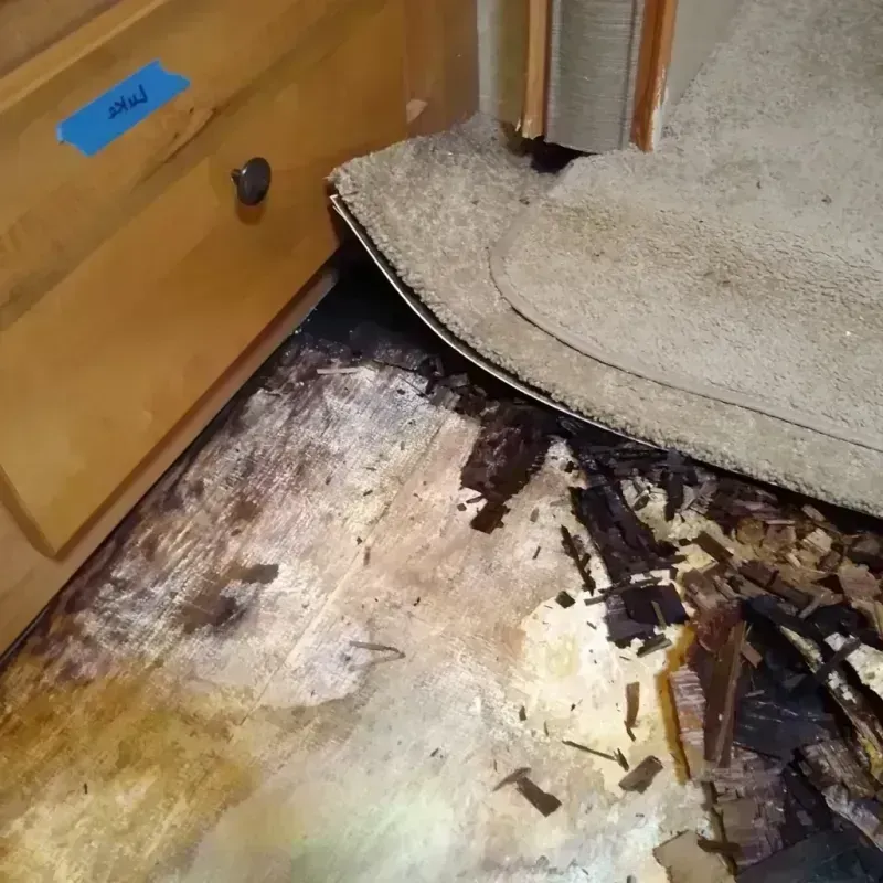 Wood Floor Water Damage in Stewart County, GA